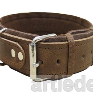 Obroża  ARTLEDER „Dog-31”