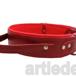 Obroża  ARTLEDER „Dog-17-R”